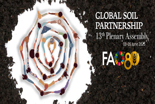 تلاشی جهانی برای نجات خاک