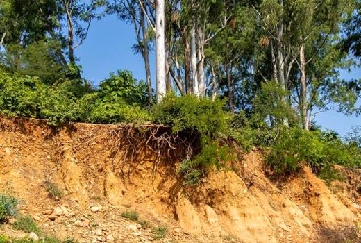 فرسایش خاک در شیروان کمتر از میانگین استانی است