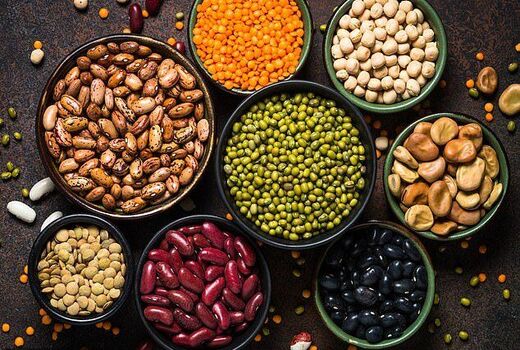 تولید پروتئین‌های گیاهی در ایران ساختار صنعتی ندارد