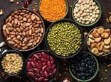 تولید پروتئین‌های گیاهی در ایران ساختار صنعتی ندارد