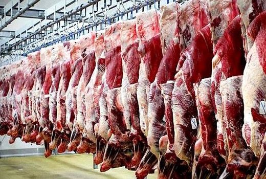 پیگیری تامین اعتبار طرح‌های تحول‌آفرین بخش کشاورزی