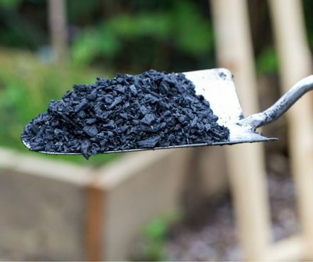 بیوچار میزان بهره‌وری محصولات کشاورزی را افزایش می‌دهد