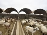 هشت طرح تعاونی روستایی در استان اصفهان به بهره برداری رسید