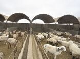 هشت طرح تعاونی روستایی در استان اصفهان به بهره برداری رسید