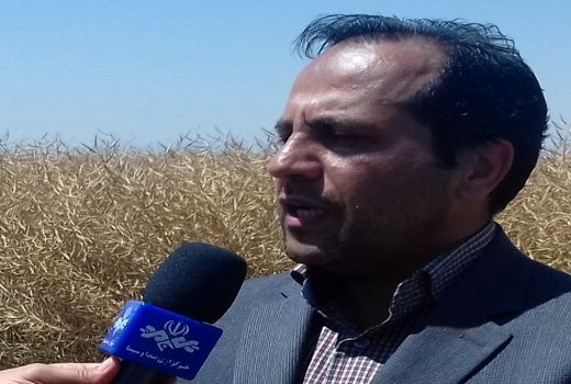 برگزاری کارگاه آموزشی سیستم یکپارچه سازی اطلاعات کشاورزی