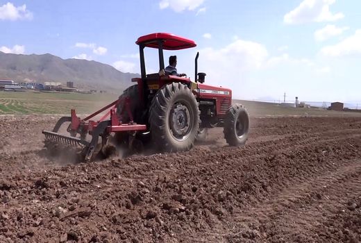 کشت گیاه خار شتر برای اولین بار در اراضی لم یزرع شهرستان شبستر