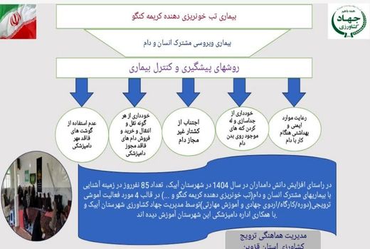 بیماری تب خونریزی دهنده کریمه کنگو