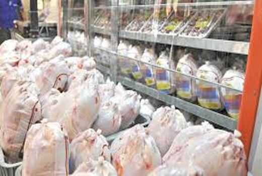 تولید بیش از 8.5 هزار  تن گوشت مرغ در شیروان 