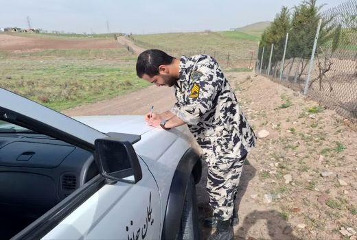 پایش ۵۵ هکتار از اراضی کشاورزی قزوین درتعطیلات گذشته