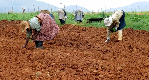 سرمایهگذاری برای مهمترین شغل جهان