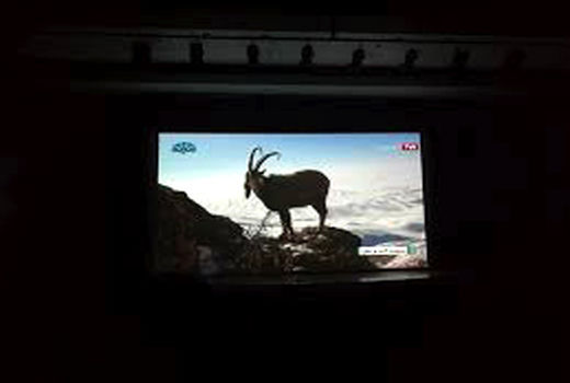 سینمای شهری دل از تهران نمی‌کَنَد!