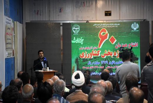 تکمیل زنجیره ارزش می‌تواند راهگشای حوزه کشاورزی باشد