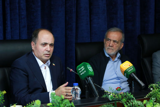 تا پایان دولت چهاردهم در تولید گوشت خودکفا خواهیم شد