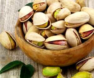 برداشت ۱۶ تن پسته از باغات کردستان