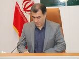 تولید سالانه بیش از ۲میلیون اصله نهال در نهالستان‌های استان گیلان