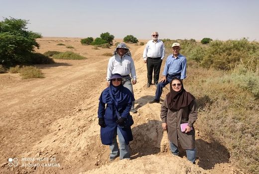 معجزه سامانه پخش سیلاب در احیای کانون گردوغبار خوزستان