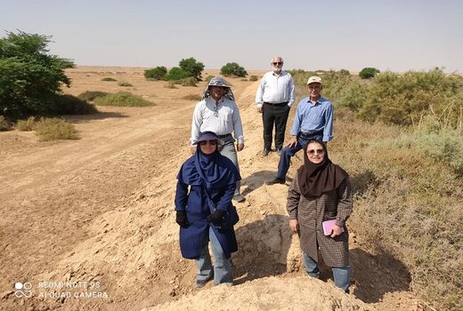 معجزه سامانه پخش سیلاب در احیای کانون گردوغبار خوزستان