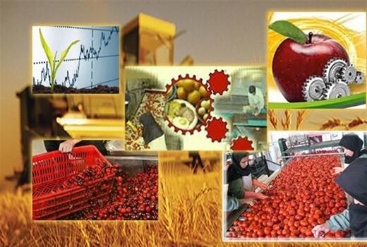 حمایت از سرمایه گذاران حوزه صنایع تبدیلی و غذایی