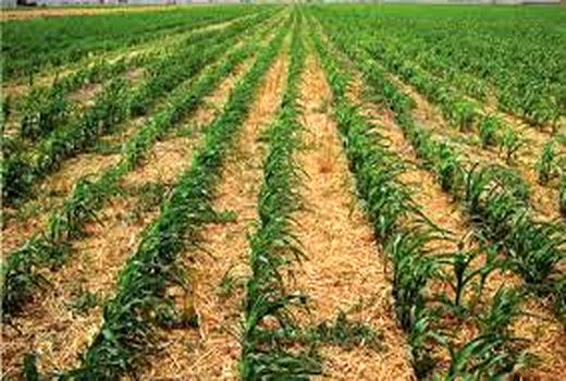  برگزاری نشست روزجهانی خاک در مدیریت جهاد کشاورزی ارزوئیه