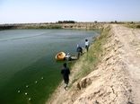 رهاسازی 29 میلیون لاروماهی در آب‌های سیستان و بلوچستان