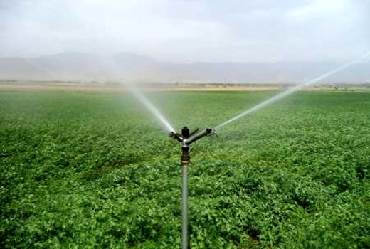 لارستان رتبه نخست اجرای سامانه های نوین آبیاری در فارس 