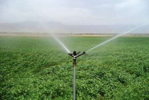 لارستان رتبه نخست اجرای سامانه های نوین آبیاری در فارس 