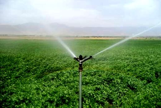 لارستان رتبه نخست اجرای سامانه های نوین آبیاری در فارس 