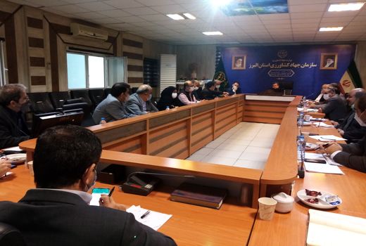 ضرب الاجل دو هفته ای برای ایجاد تعادل در بازار مرغ و تخم مرغ