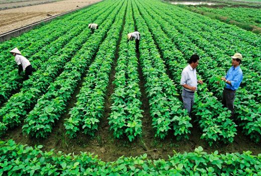 نقش احزاب در توسعه گردشگری کشاورزی