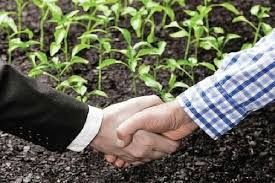 کشت قراردادی می‌تواند تنها راه برون‌رفت از بحران فعلی بخش کشاورزی باشد