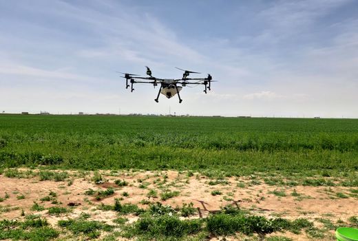 سمپاشی 3 هزار هکتار از اراضی کشاورزی استان قزوین با پهباد 