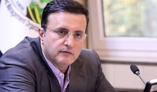 همکاری با کشورهای دوست برای تأمین نهاده‌های دامی و کالاهای اساسی تقویت می‌شود