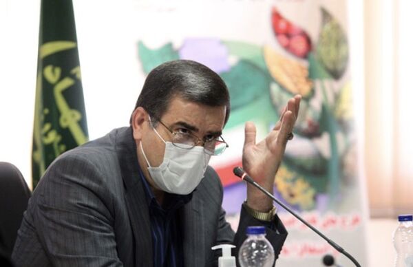 قیمت خرید توافقی خرمای استعمران در استان خوزستان اعلام شد