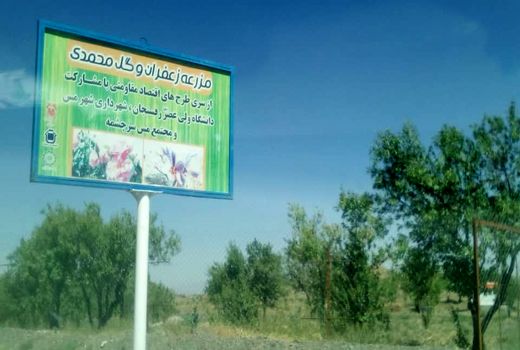 بازدید مسئولان از معین اقتصادی رفسنجان