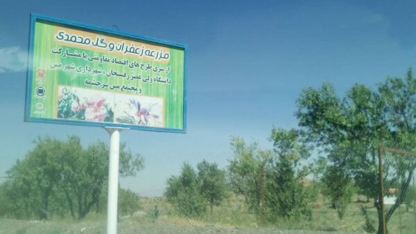 بازدید مسئولان از معین اقتصادی رفسنجان
