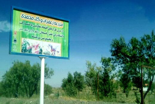 بازدید مسئولان از معین اقتصادی رفسنجان