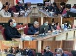 جلسه بررسی وضعیت تشکل‌های سایر ماکیان استان برگزار شد