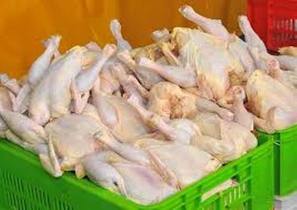  11500 تن گوشت سفید در واحدهای صنعتی پرورش طیور  در خراسان شمالی تولید شد