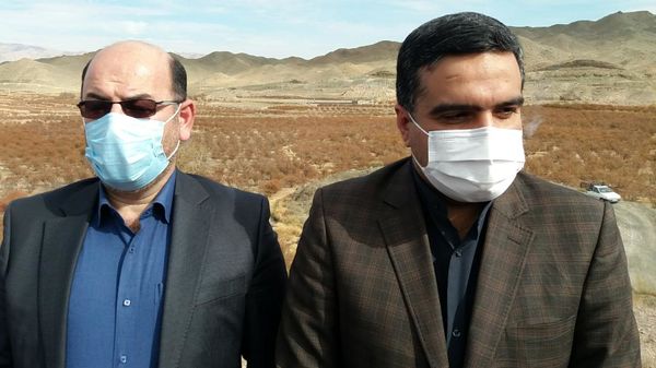 زرشک خراسان جنوبی در سبد حمایتی جهاد کشاورزی قرار می‌گیرد