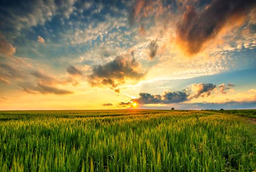 صدور ۲۲ مجوز تغییر کاربری در استان بوشهر