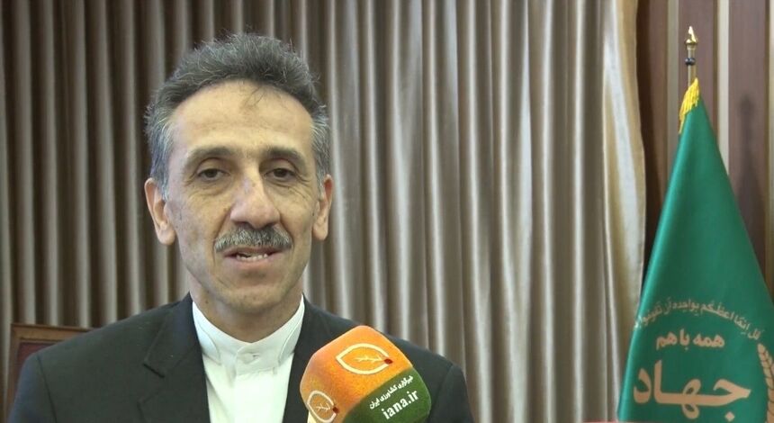 دیپلماسی ایران مانع سیاسی‌کاری در فائو شده است/ایران؛ فعال در دیپلماسی غذایی 