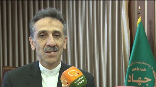 دیپلماسی ایران مانع سیاسی‌کاری در فائو شده است/ایران؛ فعال در دیپلماسی غذایی 