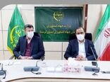 کشت ۱۷۶ هزار هکتار گندم در اجرای طرح جهش تولید در دیمزارهای  لرستان