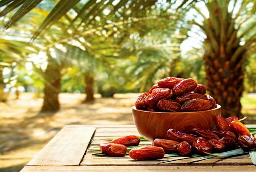 خرمای ایران، طلای گرمسیری/ راهکارهای علمی مسیر صادرات را هموار می‌کند