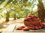 خرمای ایران، طلای گرمسیری/ راهکارهای علمی مسیر صادرات را هموار می‌کند