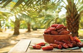 خرمای ایران، طلای گرمسیری/ راهکارهای علمی مسیر صادرات را هموار می‌کند