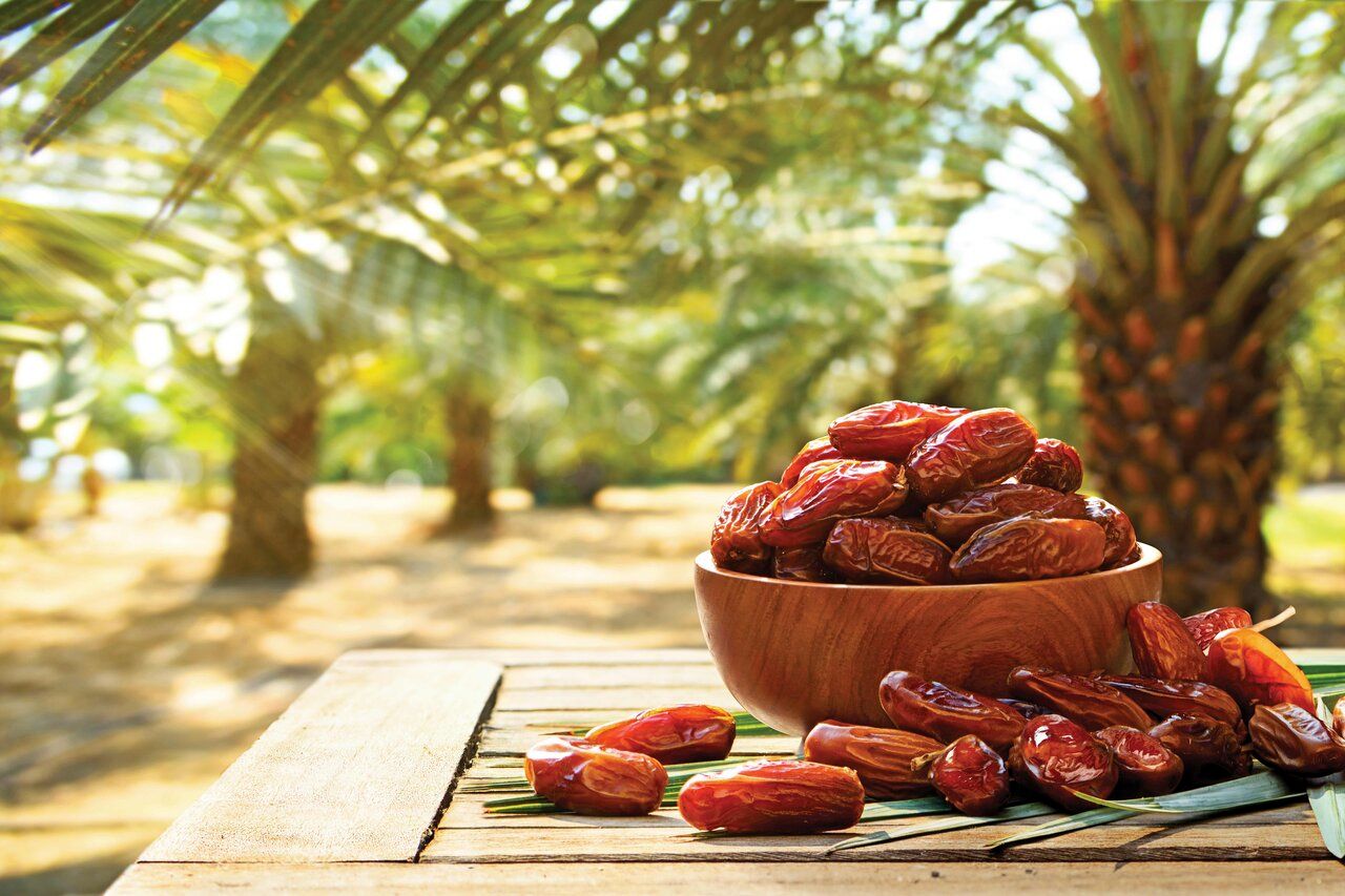 خرمای ایران، طلای گرمسیری/ راهکارهای علمی مسیر صادرات را هموار می‌کند
