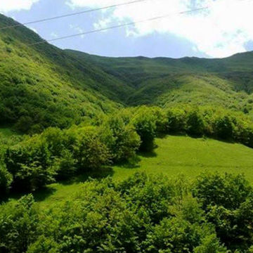 سازمان منابع طبیعی و تغییرات مدیریتی