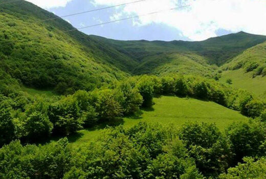 سازمان منابع طبیعی و تغییرات مدیریتی