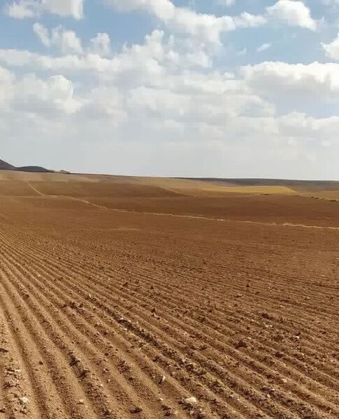 صدور اسناد تجمیعی برای ۱۱۸ قطعه از اراضی کشاورزی شهرستان آوج